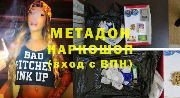 индика Няндома