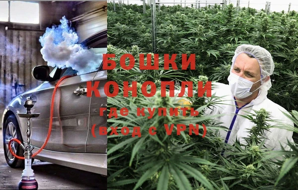 молекула духа Осинники