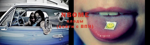 индика Няндома