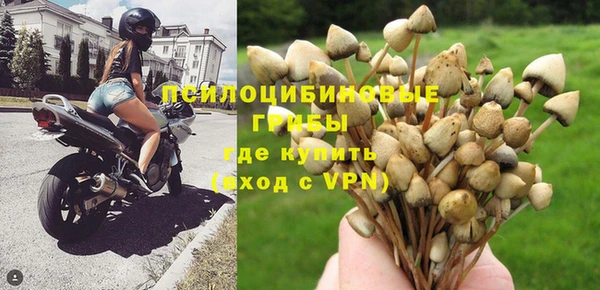 индика Няндома
