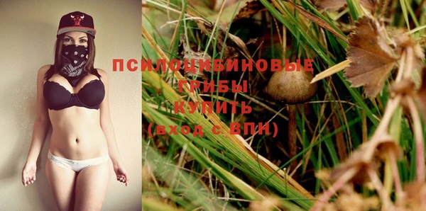 индика Няндома