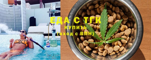 индика Няндома