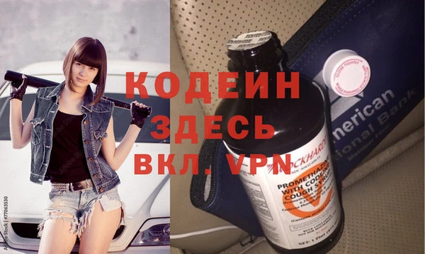 индика Няндома