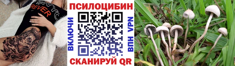 Галлюциногенные грибы Magic Shrooms  Тосно 