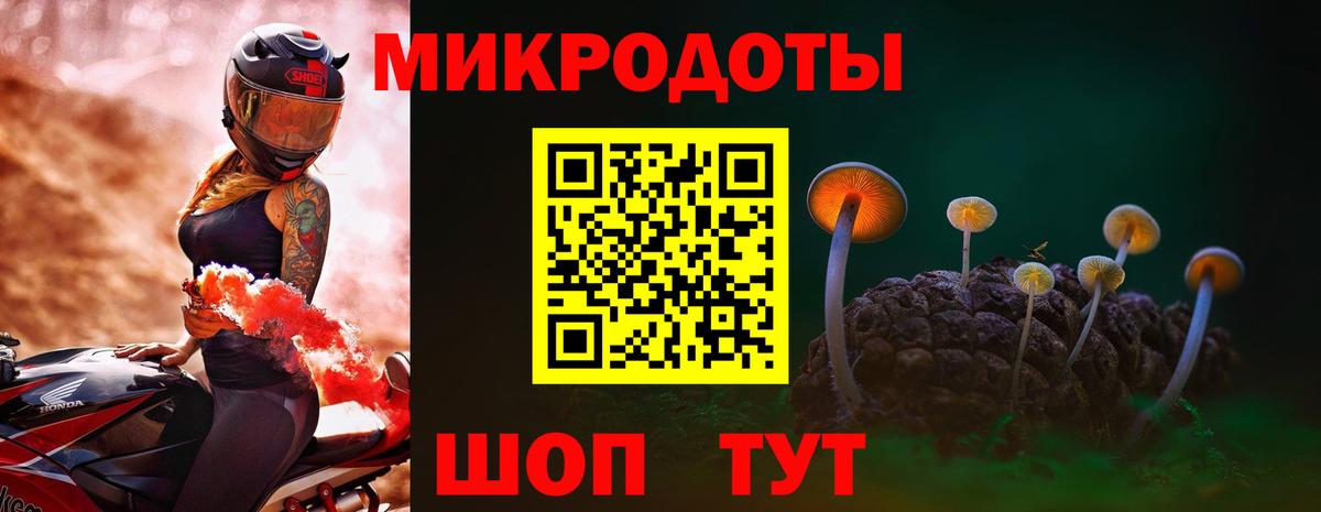Тосно  Галлюциногенные грибы MAGIC MUSHROOMS  Вход с VPN 
